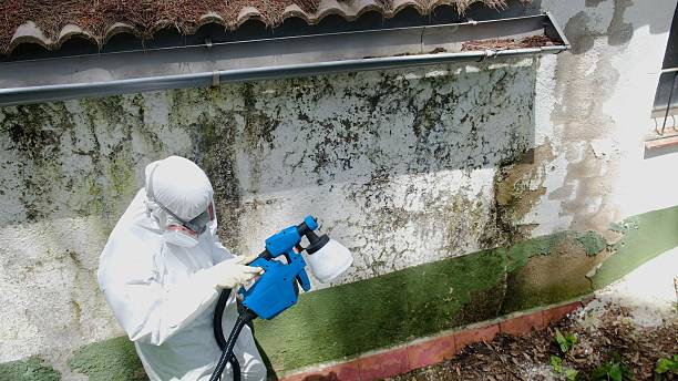 Mold Removal service in Rockville